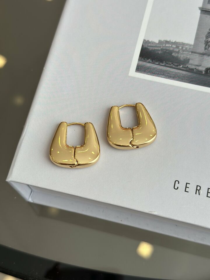 Çelik Gold Renk Kadın Küpe