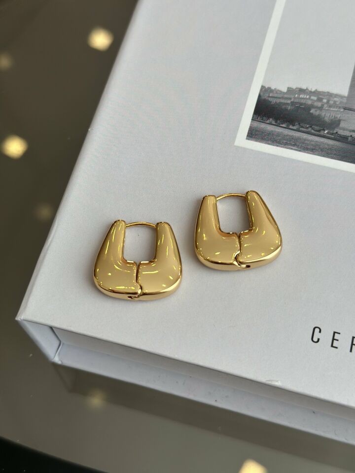 Çelik Gold Renk Kadın Küpe