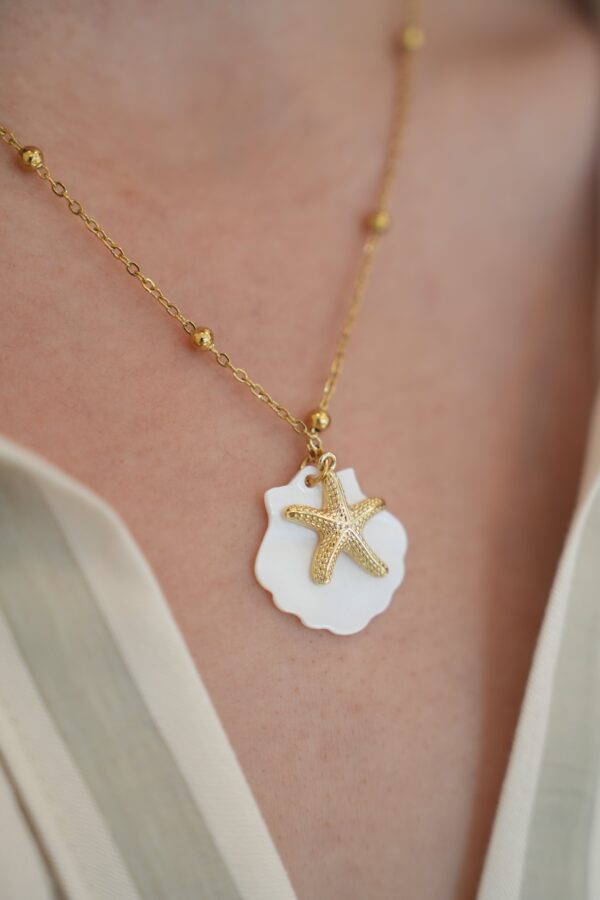 İstiridye ve Deniz Yıldızı Detaylı Çelik Kolye