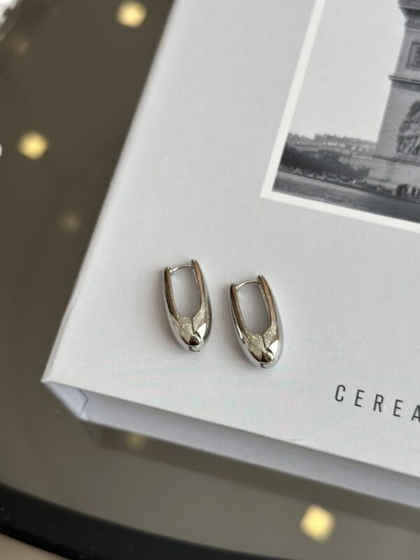 Gümüş Renk Kadın Halka Küpe