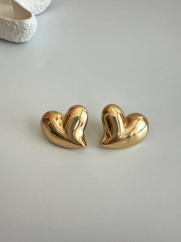 Kalp Model Çelik Küpe