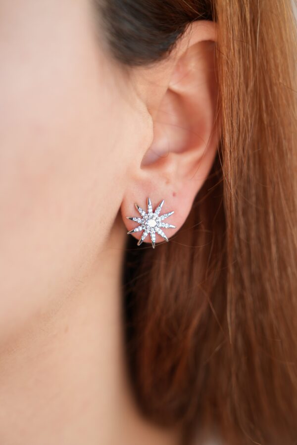 Pirinç Gümüş Renk Zirkon Taşlı Yıldız Model Kadın Küpe