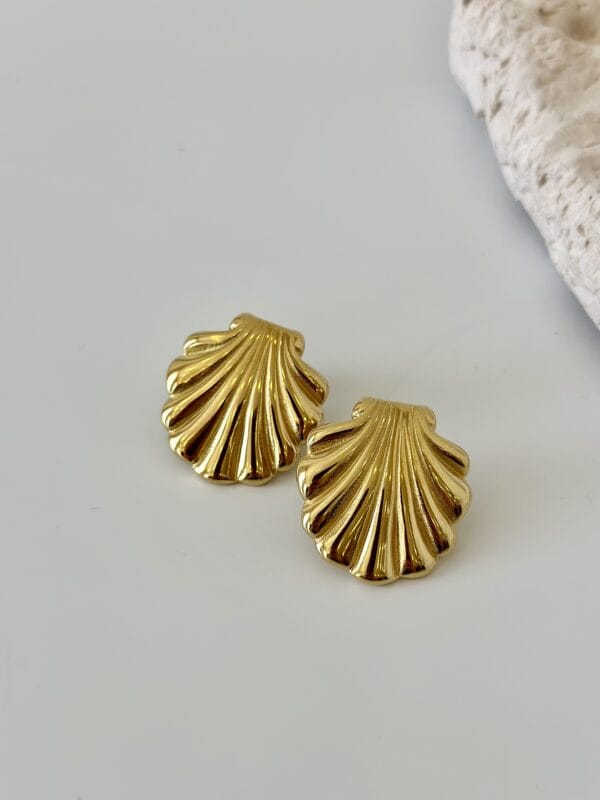 Çelik Midye Deniz Kabuğu Çizgili Küpe