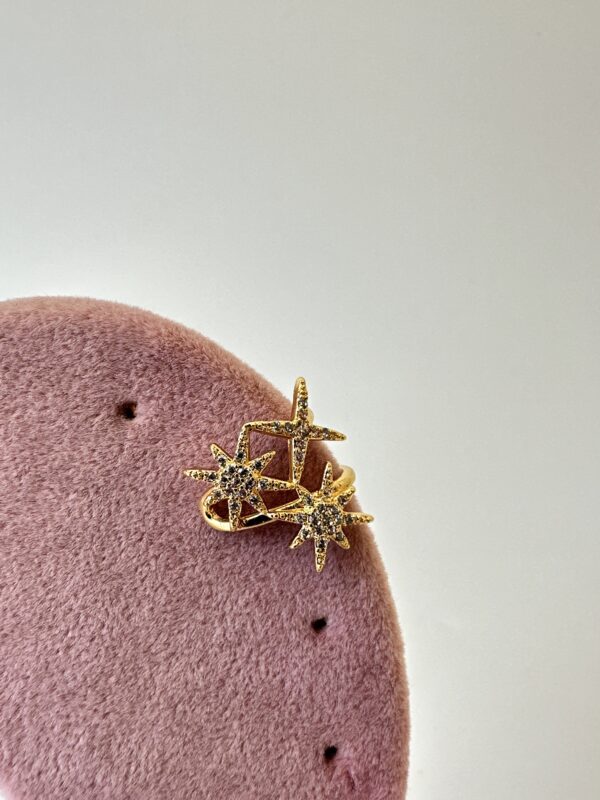 Kuzey Yıldızı Model Vip Kıkırdak Küpe