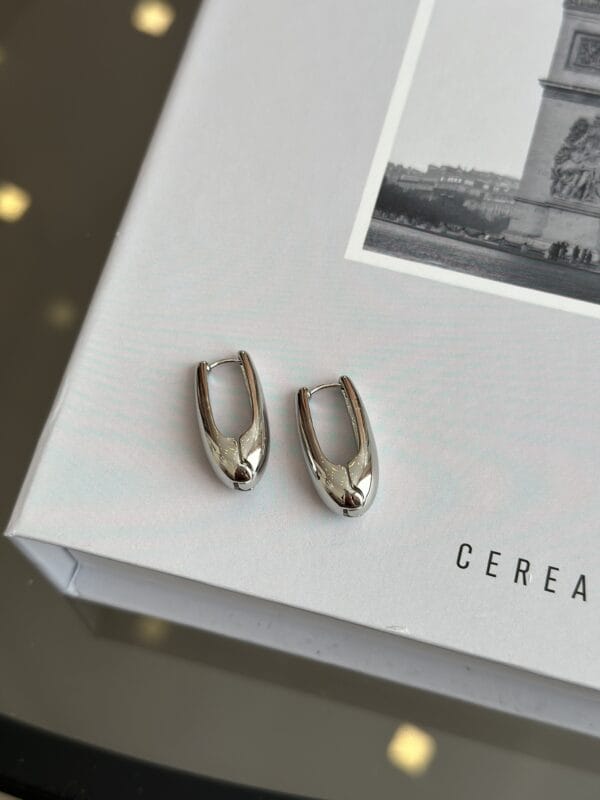 Gümüş Renk Kadın Halka Küpe