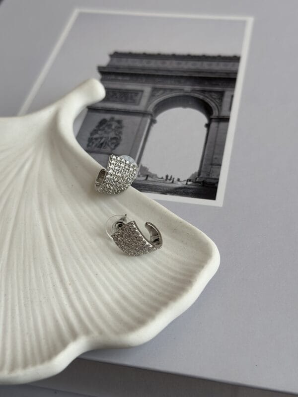 Gümüş Renk Zirkon Taşlı Kadın Vip Küpe