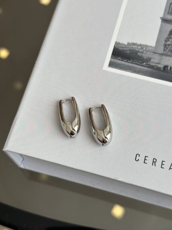 Gümüş Renk Kadın Halka Küpe