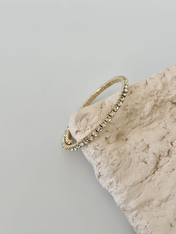 Vip Su Yolu Kelepçe