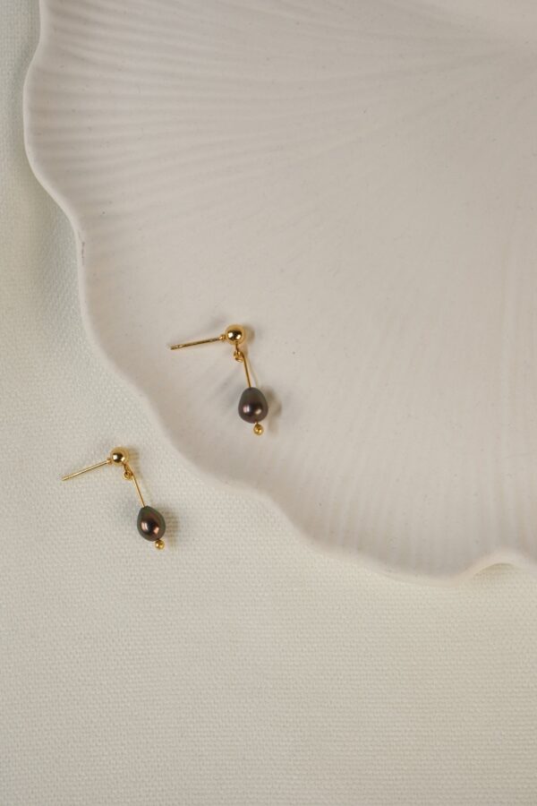 Siyah inci Detaylı Çivi Küpe