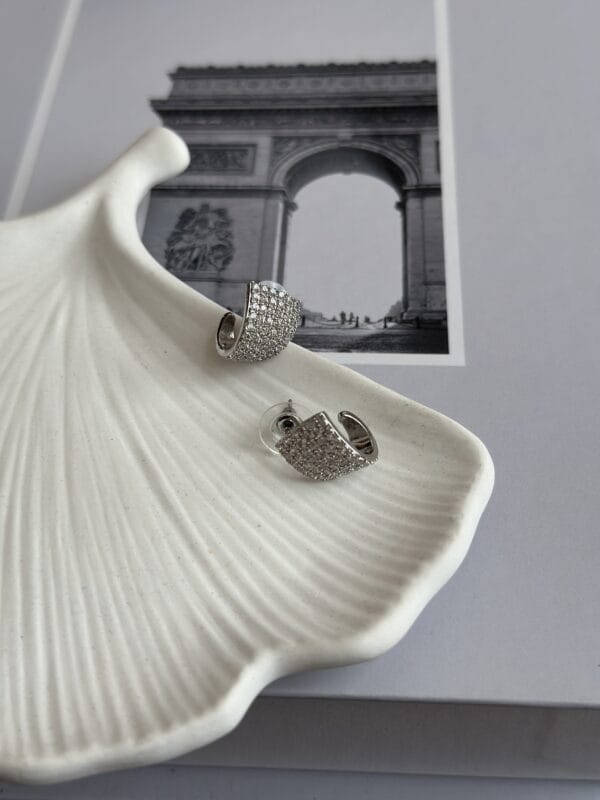 Gümüş Renk Zirkon Taşlı Kadın Vip Küpe