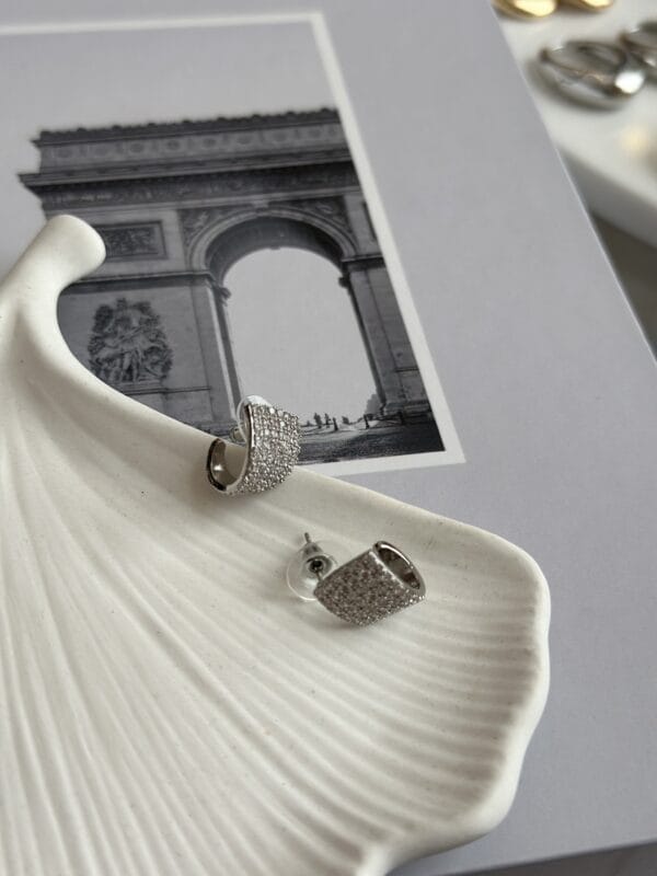 Gümüş Renk Zirkon Taşlı Kadın Vip Küpe