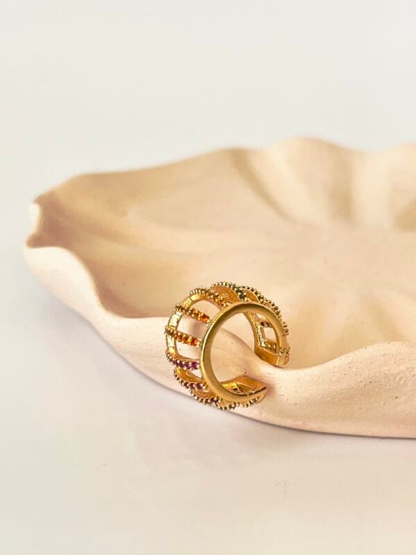 Altın Kaplama Özel Seri Kıkırdak Küpe