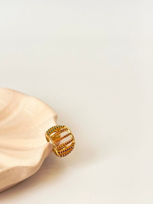 Altın Kaplama Özel Seri Kıkırdak Küpe