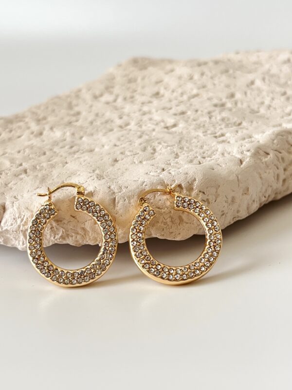 Zirkon Taş Detaylı Vip Küpe