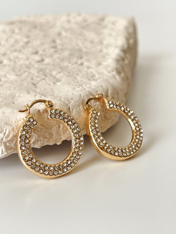 Zirkon Taş Detaylı Vip Küpe