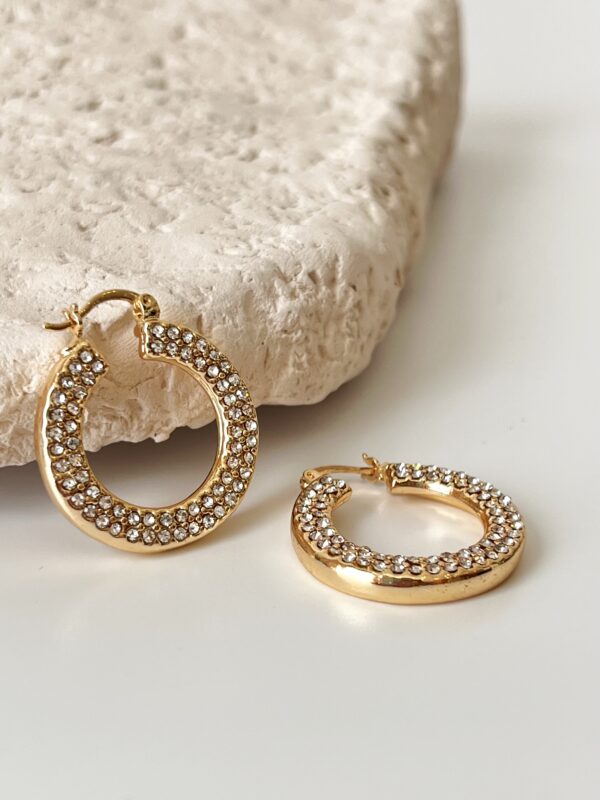 Zirkon Taş Detaylı Vip Küpe