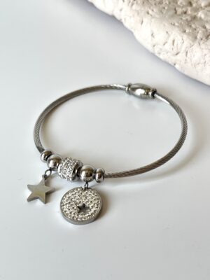 IMG-7380-1.jpg Zirkon Taşlı Çelik Pandora Bileklik