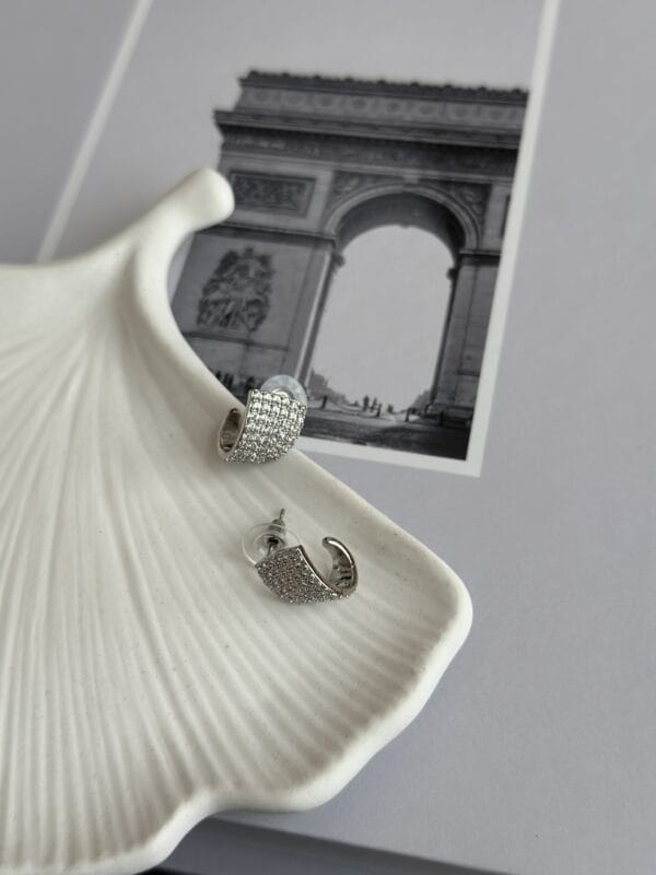 Gümüş Renk Zirkon Taşlı Kadın Vip Küpe