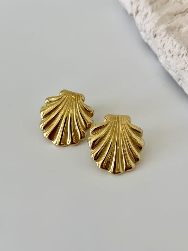 Çelik Midye Deniz Kabuğu Çizgili Küpe