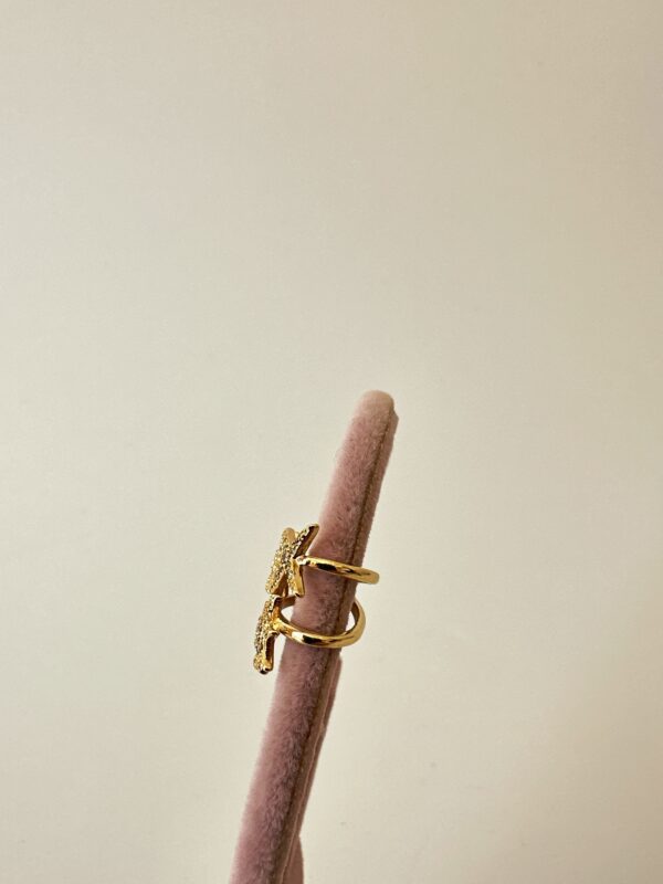 Kuzey Yıldızı Model Vip Kıkırdak Küpe