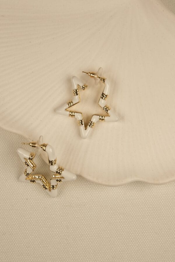 Miminal Tasarım Vip Yıldız Model Küpe