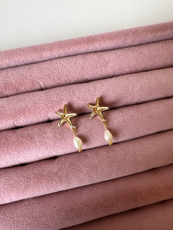 Arpa İnci Detaylı Minimal Yıldız Küpe