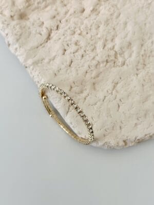 Vip Su Yolu Kelepçe