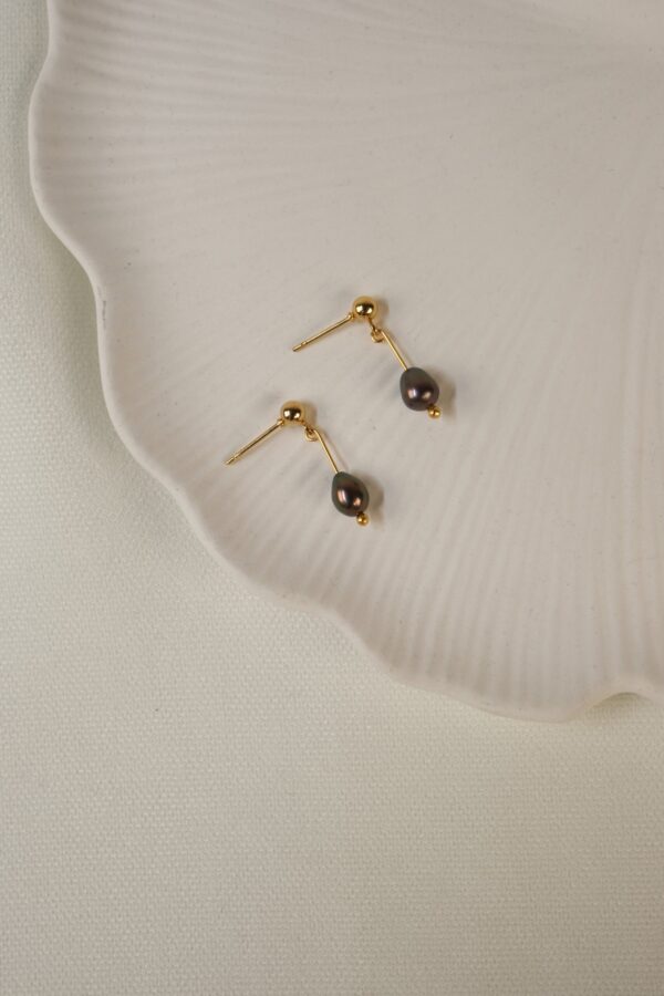 Siyah inci Detaylı Çivi Küpe