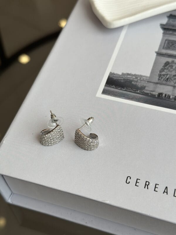 Gümüş Renk Zirkon Taşlı Kadın Vip Küpe