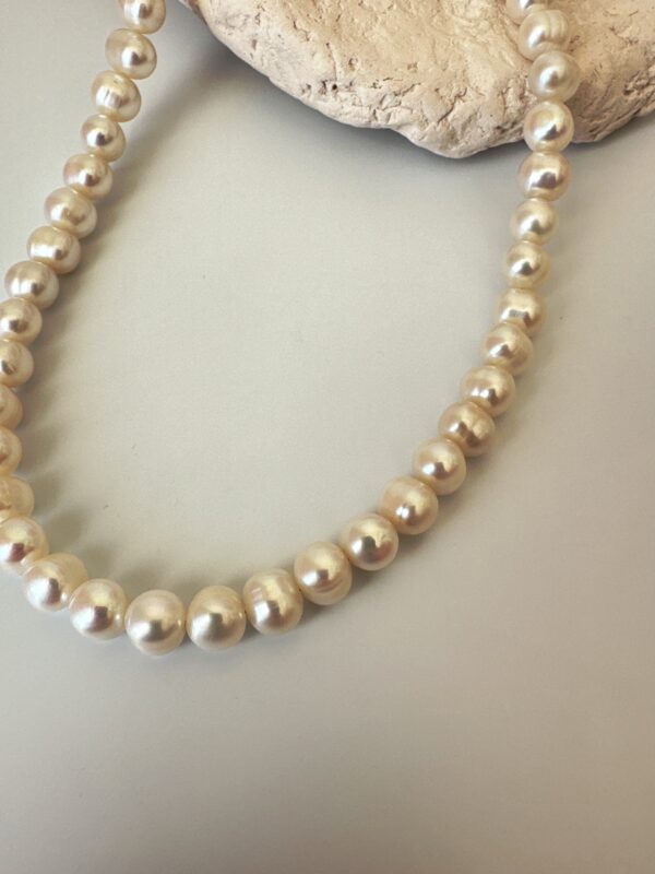 Vip Kalite Pirinç Üzeri Altın Kaplama A++ 7-8 mm Tatlı Su İncisi Choker Kolye