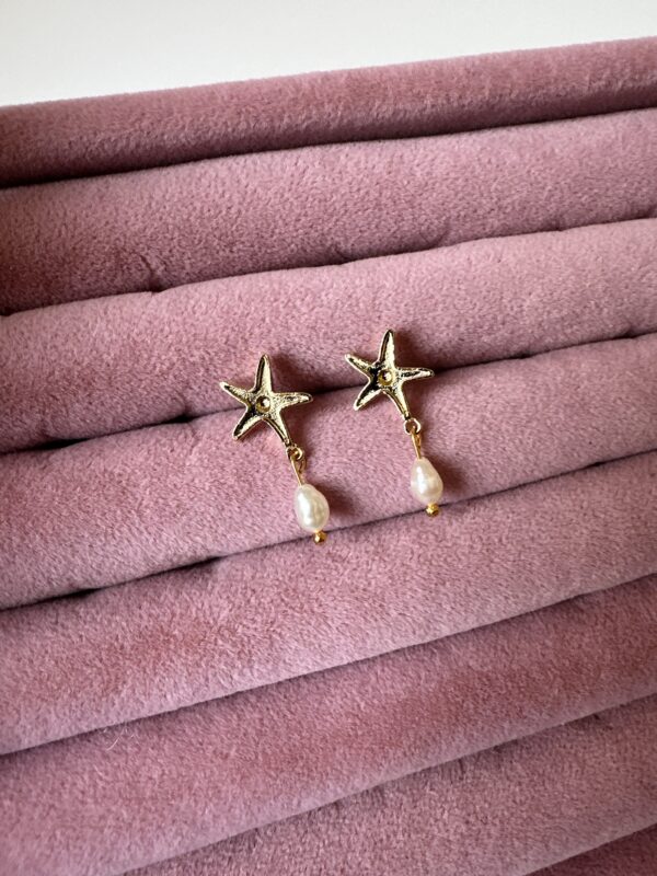 Arpa İnci Detaylı Minimal Yıldız Küpe