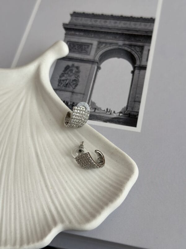 Gümüş Renk Zirkon Taşlı Kadın Vip Küpe