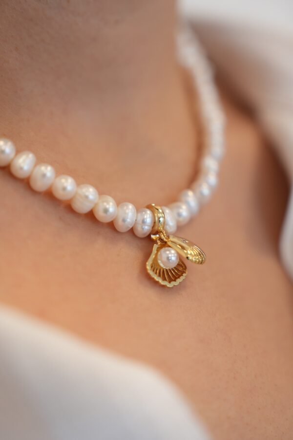 Gerçek Tatlı Su İncili Altın İstiridye Kolye