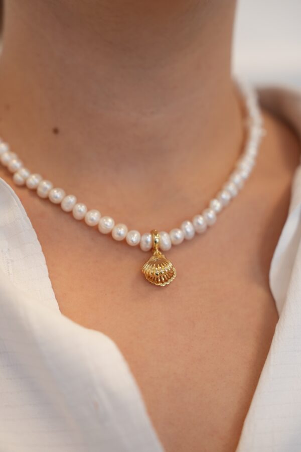 Gerçek Tatlı Su İncili Altın İstiridye Kolye