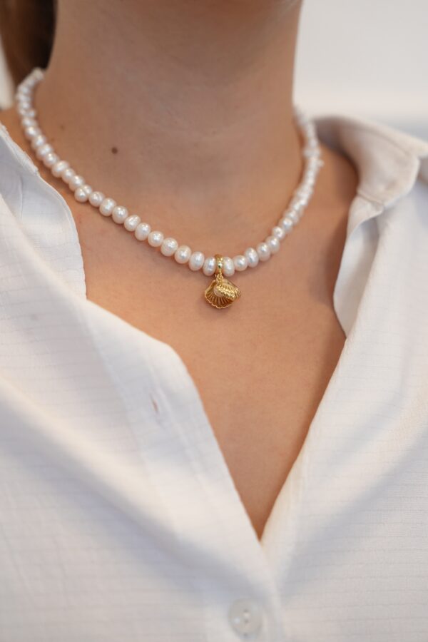 Gerçek Tatlı Su İncili Altın İstiridye Kolye